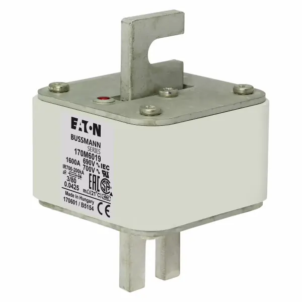 SK0054994-CZ20260306-083626-0-1772757394-pim-893431_1 170M6019 Ultra rychlá pojistka pro ochra Tovární Cena