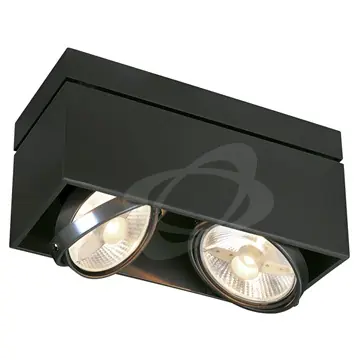 SK0141720-CZ20260306-083713-0-1772757440-SLV_117110_1_RGB Akční Nabídka KARDAMOD, stropní svít., dvě žárovky, QPAR111, obdélníkové, černé matn